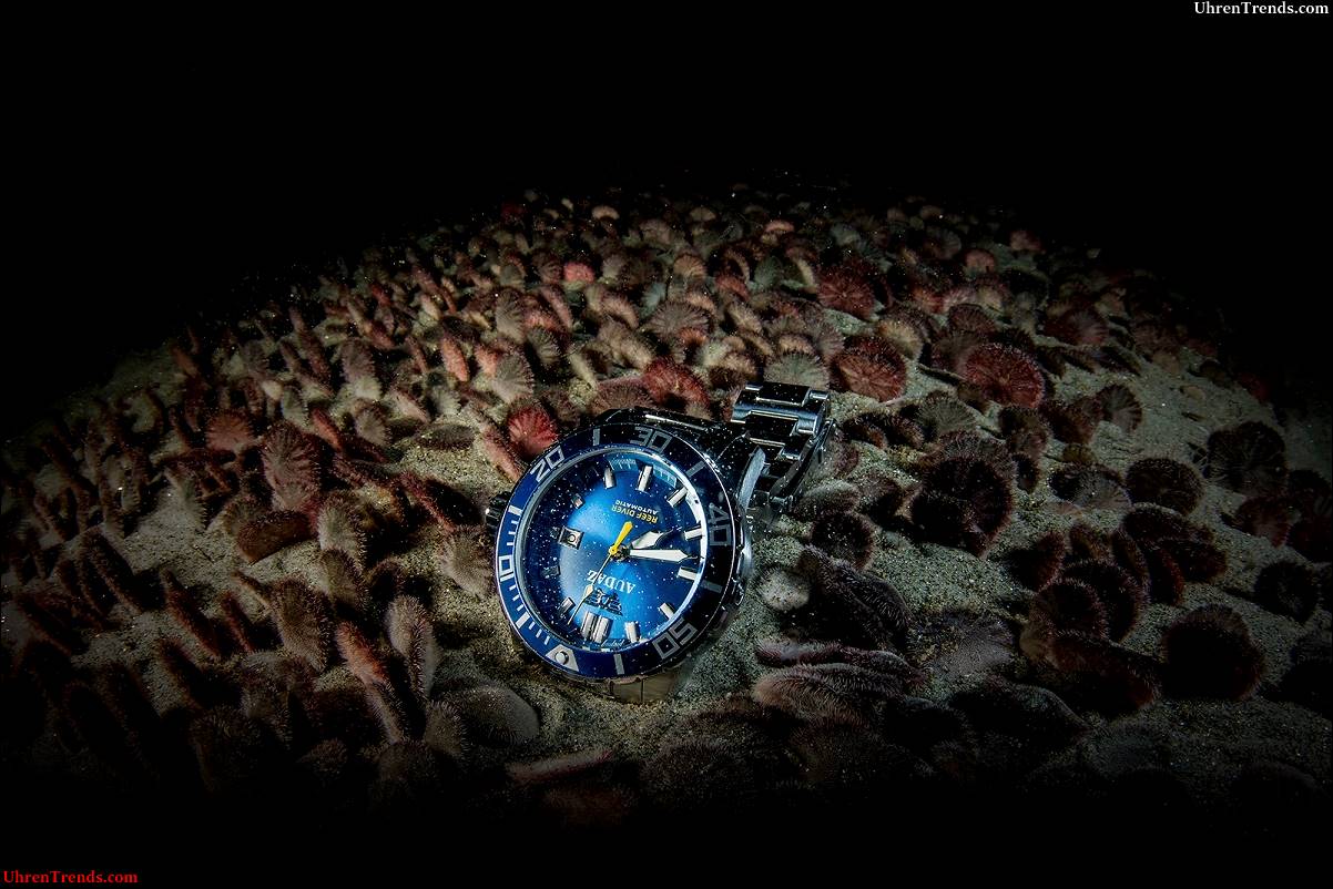 Audaz Reef Diver 300M Uhr  